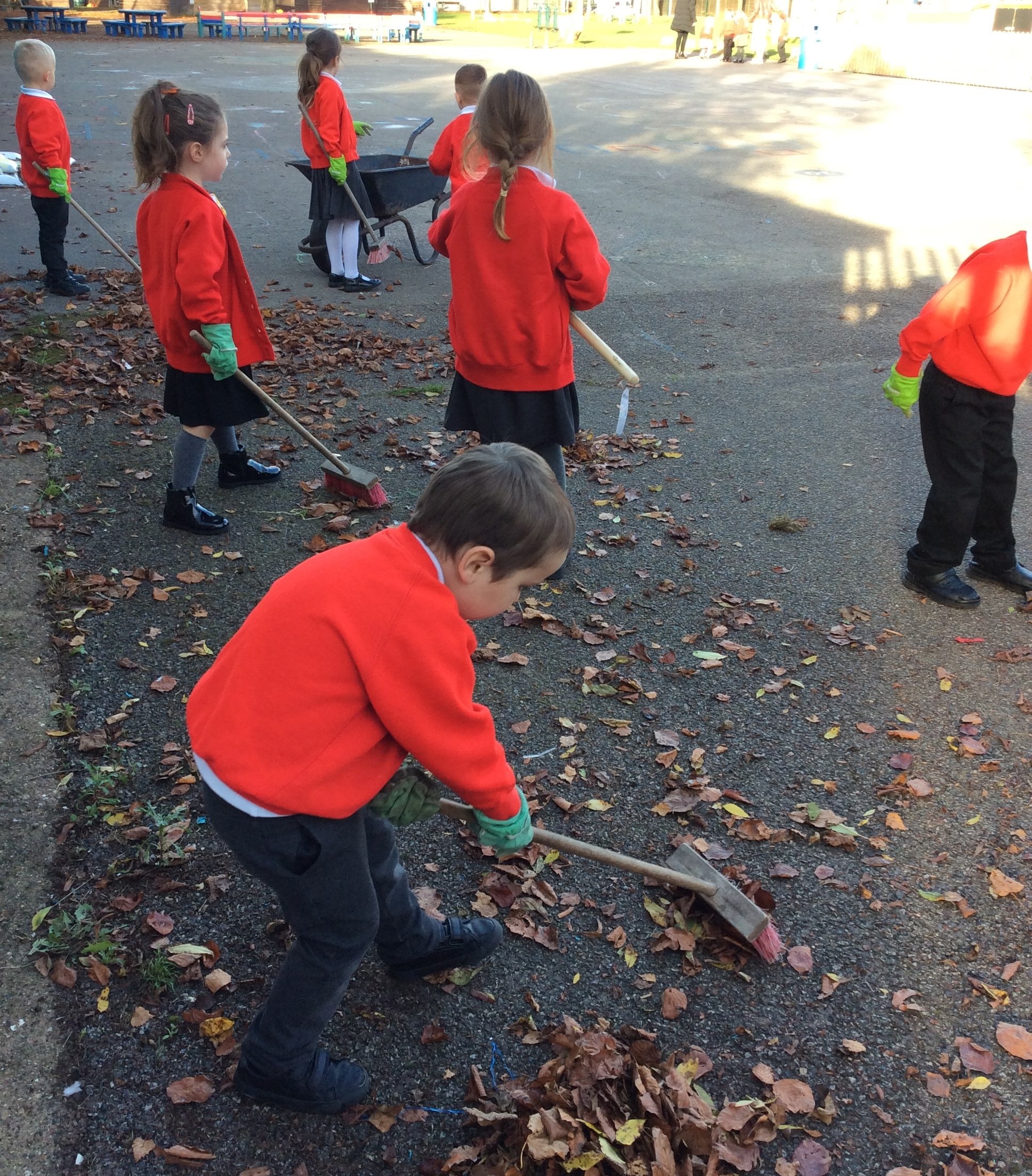 Children sweeping leaves web