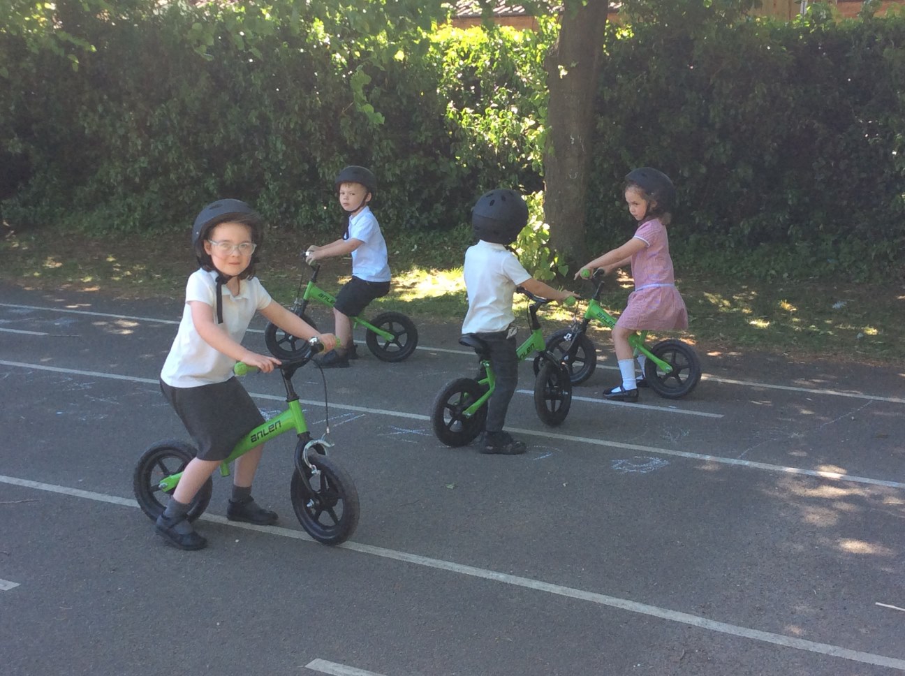 bicycles outside in summer