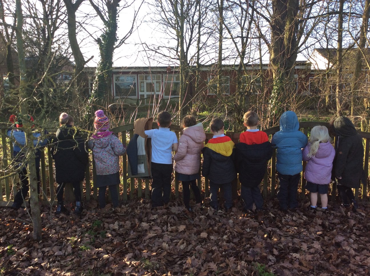 children looking over a fence