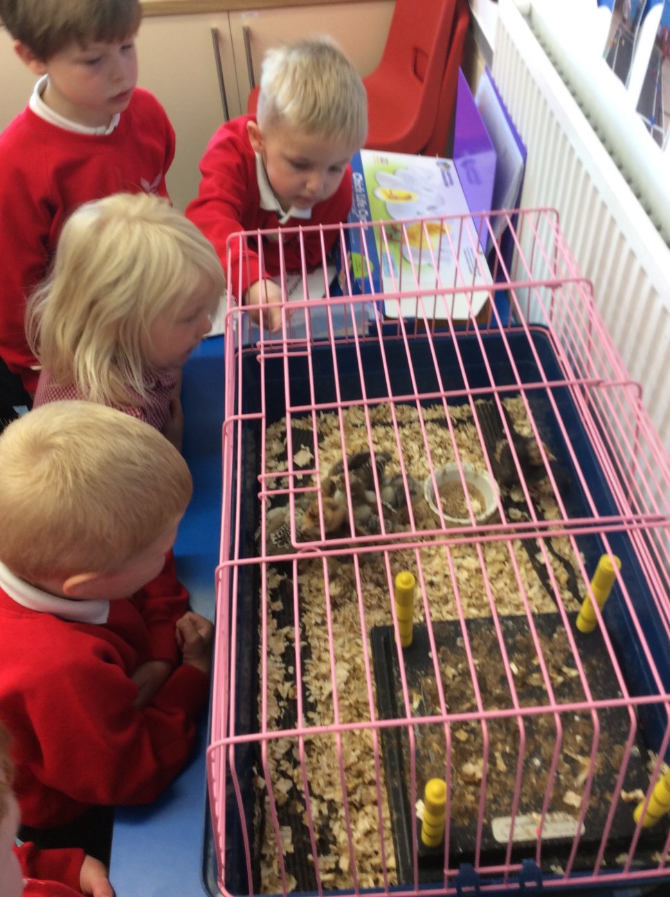 children with hamster